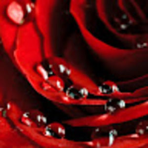 Meet your Posher, Pamela